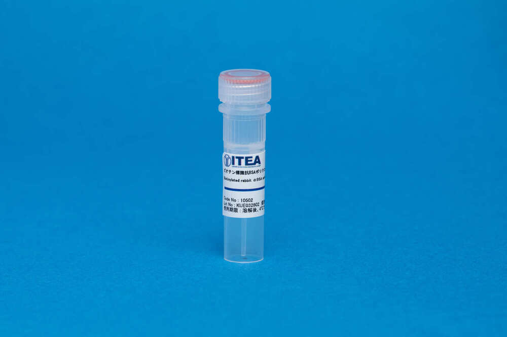 Biotinylated Rabbit Anti-BSA Polyclonal Antibody