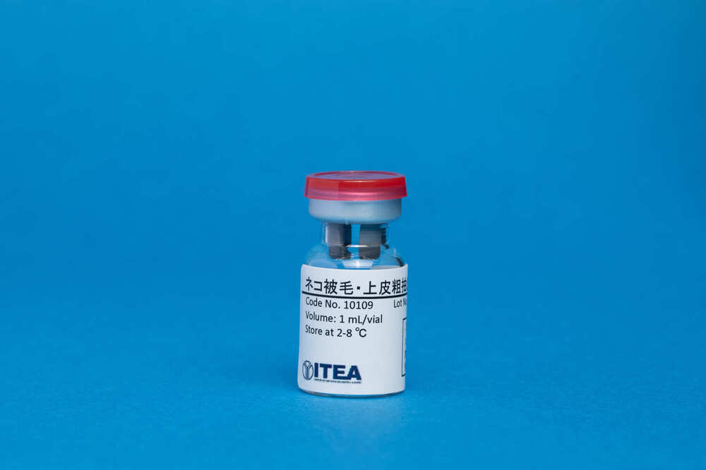 Cat Hair and Epithelia Extract