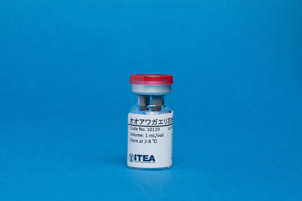 Timothy Pollen Extract