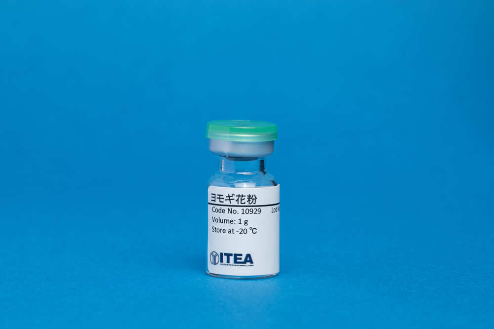 Japanese Mugwort Pollen