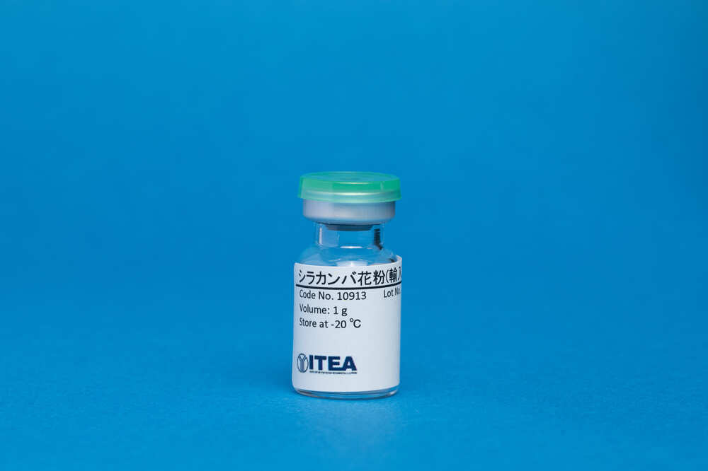 Silver Birch Pollen (Import)