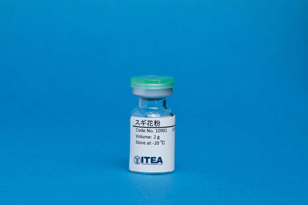 スギ花粉